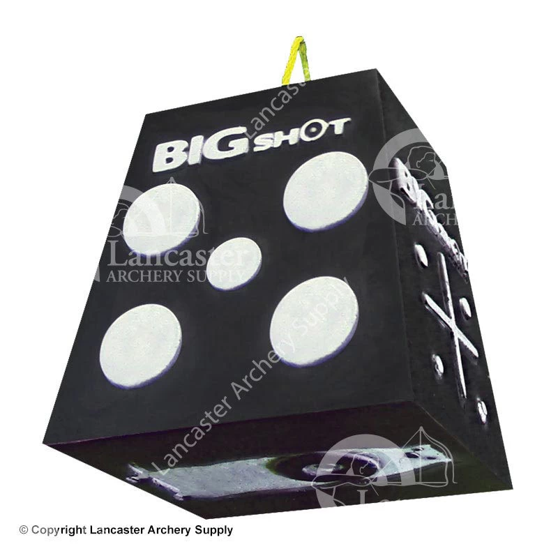 BIGshot Titan 16 Broadhead Target
