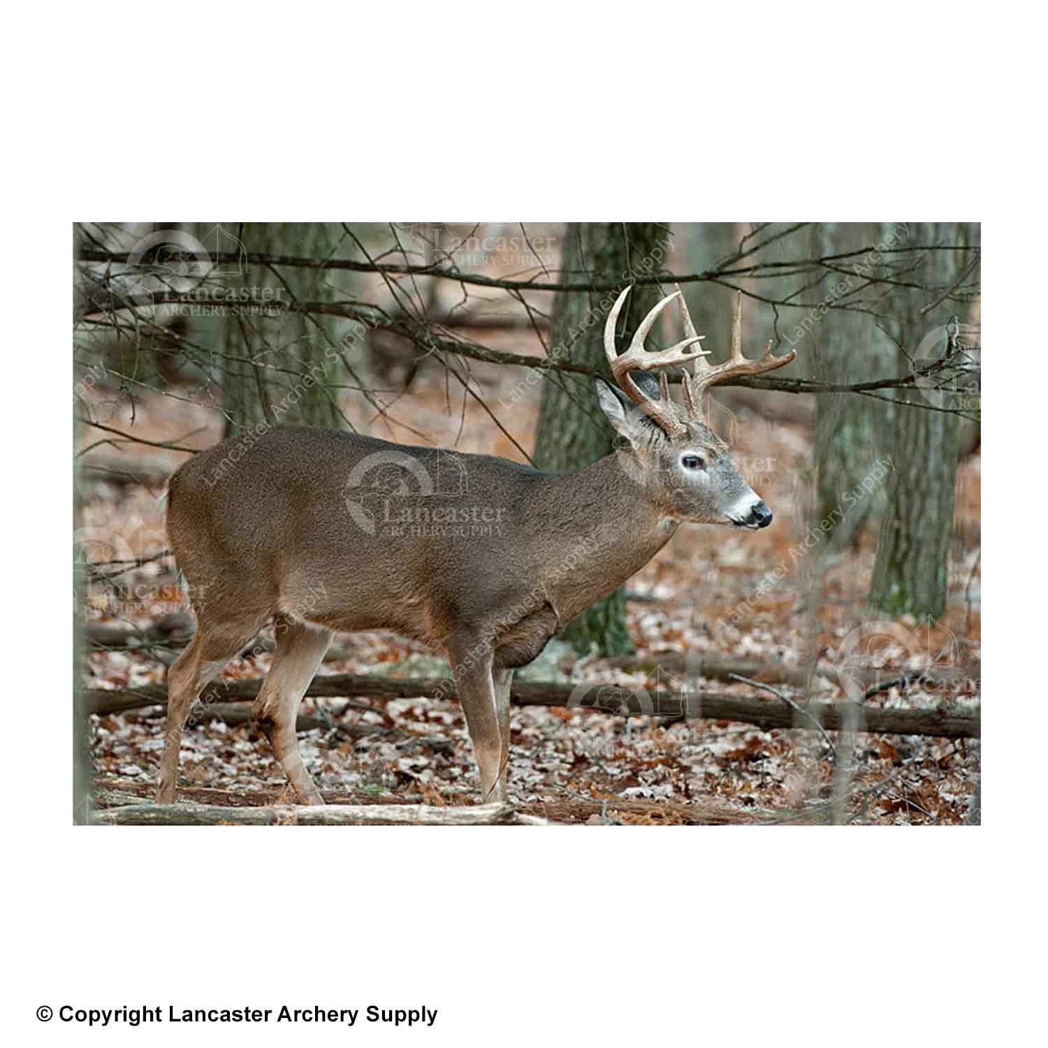 NiceTargets Deer Targets - Image 3