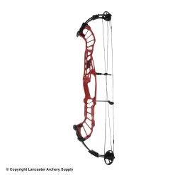 Hoyt Invicta 40 SVX Compound Target Bow (Clearance X1032829)